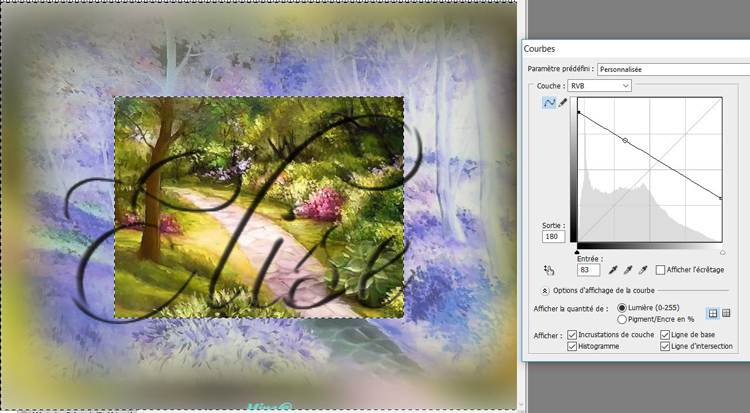 59. Effet spécial sur une photo