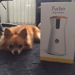 Furbo Dog Caméra
