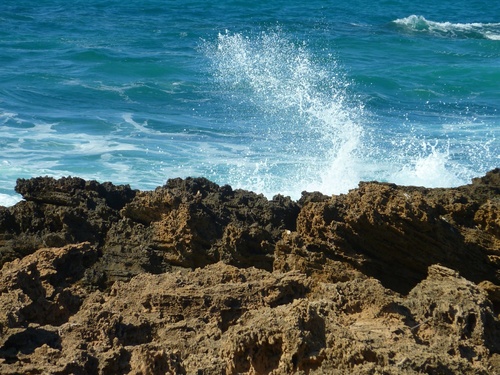 Le Cap Bon (Tunisie)