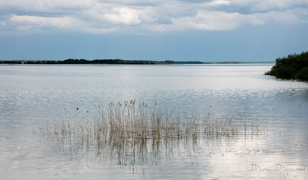 Lac du Der reflets et toiles (2)