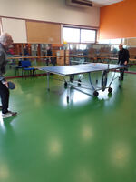 Tennis de table