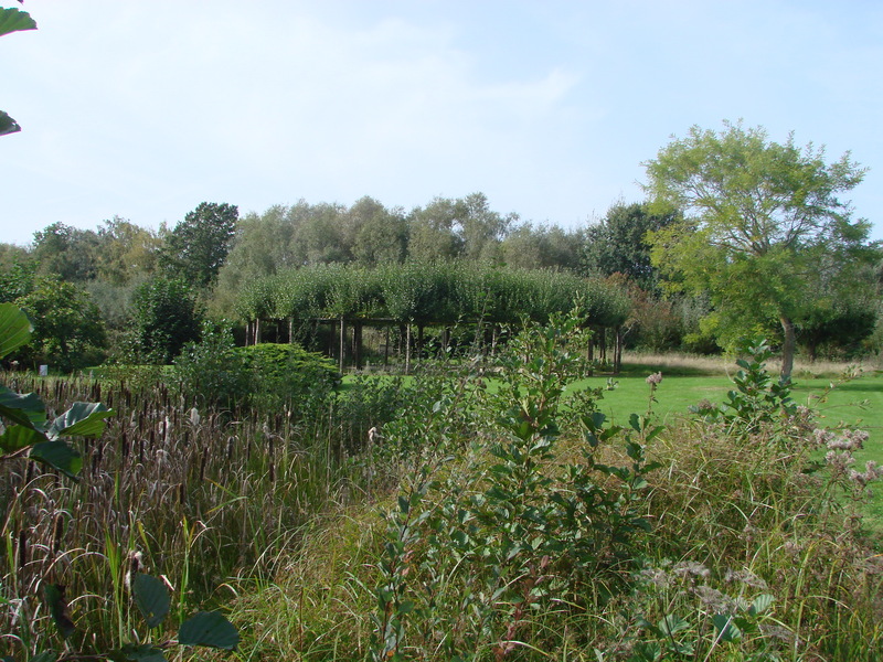 Lac de Bambois (3)