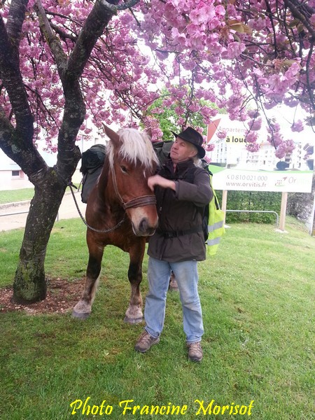 Un voyageur et son cheval...