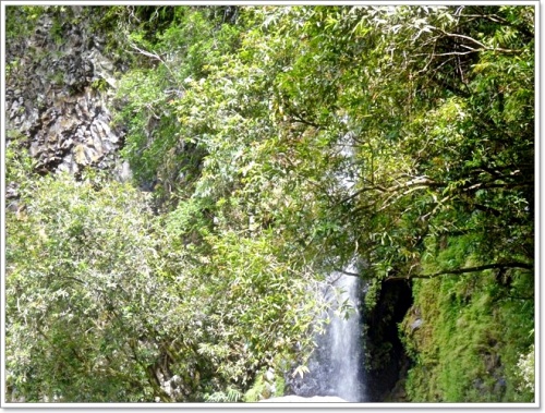 Bassin la Paix (fin) -