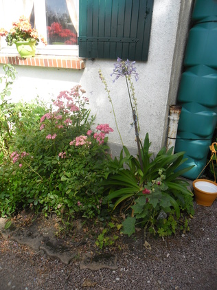 Le jardin de ma mère !