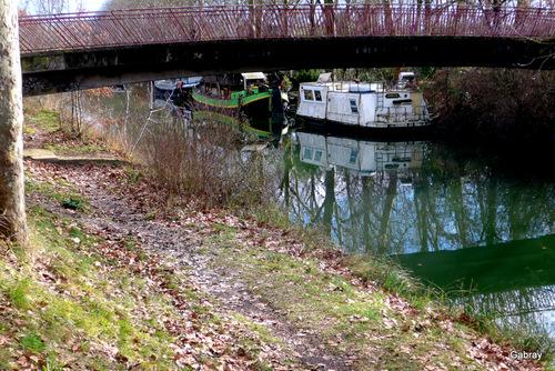 Canal du Midi : pont et aviron