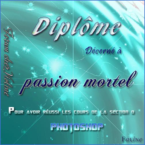 Mes Diplômes