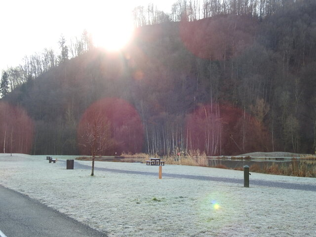 3 loups en Savoie sur Ugine