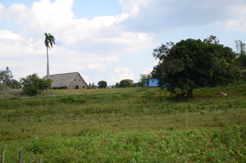 vallée de vinales cuba schnoebelen