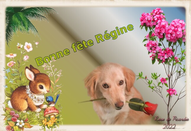 Peut être une image de chien, fleur et texte qui dit ’Bonne fête Régine DAP de Picardie 2022’