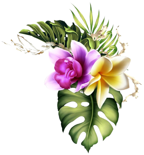 FLORES-5014-Download-removebg-preview.png?profile=RESIZE_400x
