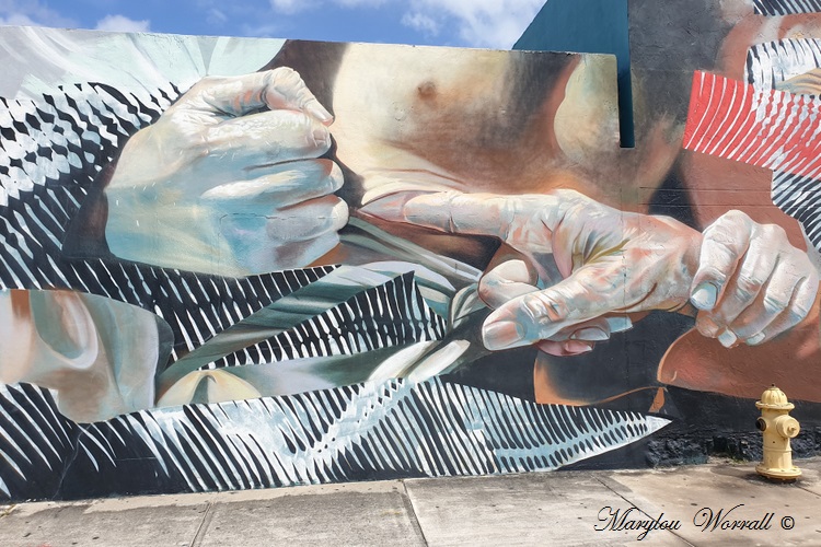 Floride : Miami Wynwood Walls and art gallery 1/3