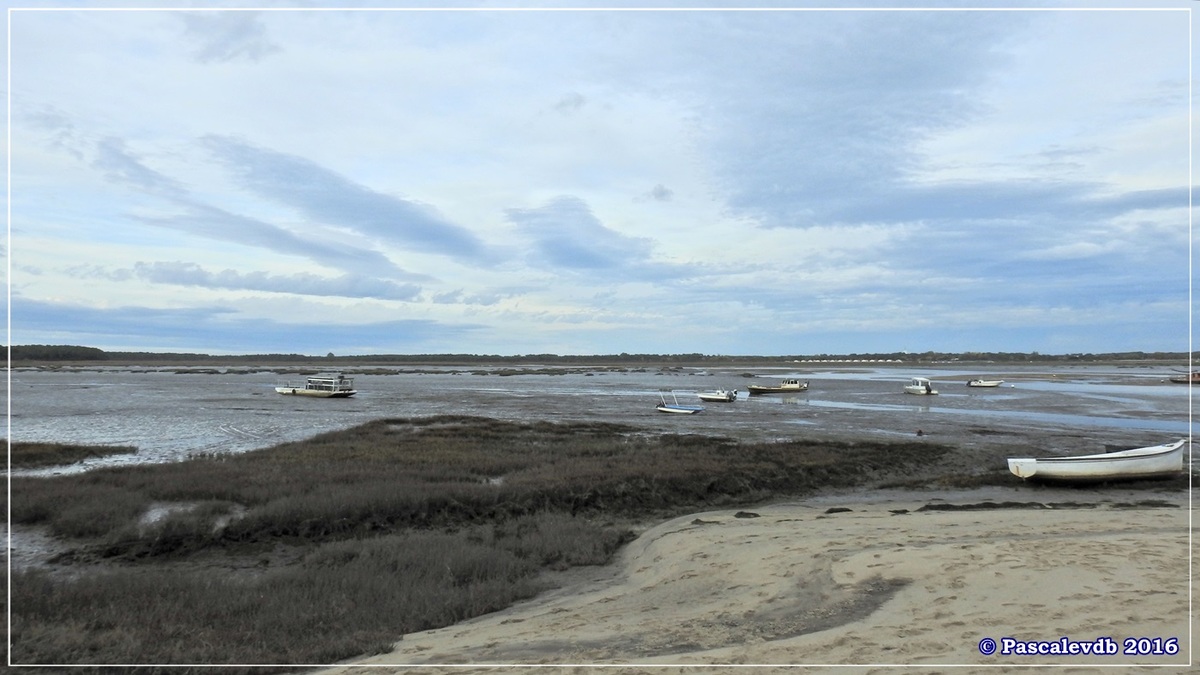 Balade à Claouey sur la presqu'île du Cap Ferret - Octobre 2016 - 10/10