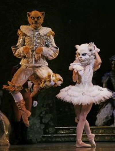 dance ballet the cats beauty ballet