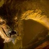 Smaug