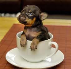 la tasse a café ;) :)