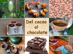 Del cacao al chocolate (1)