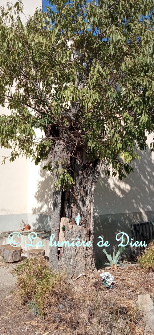 Rodès, église Sainte Marie de Domanova