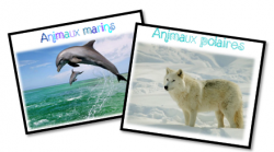 Jeux de français Cycle 2