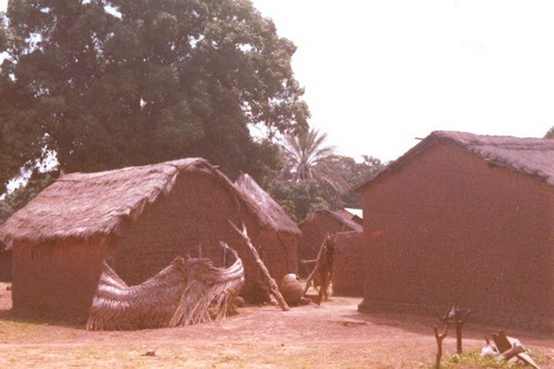 Mon voyage en Afrique noire - 4