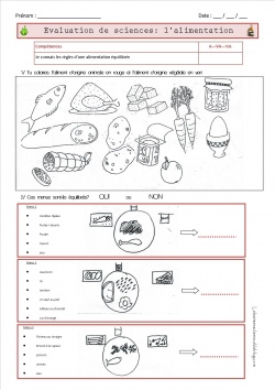 Travailler l'alimentation au cycle 2 