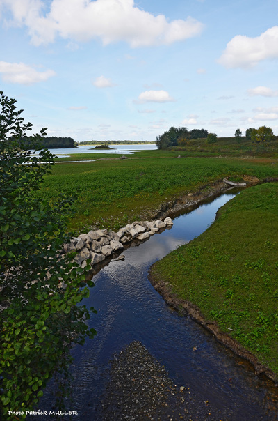 Retour à Aiguelongue