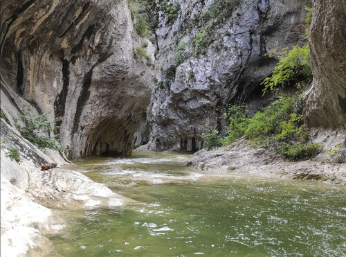 descente des gorges de l'hérault en canoë... 