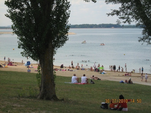 Un petit tour au lac du Der (lac d'Orient) 2010