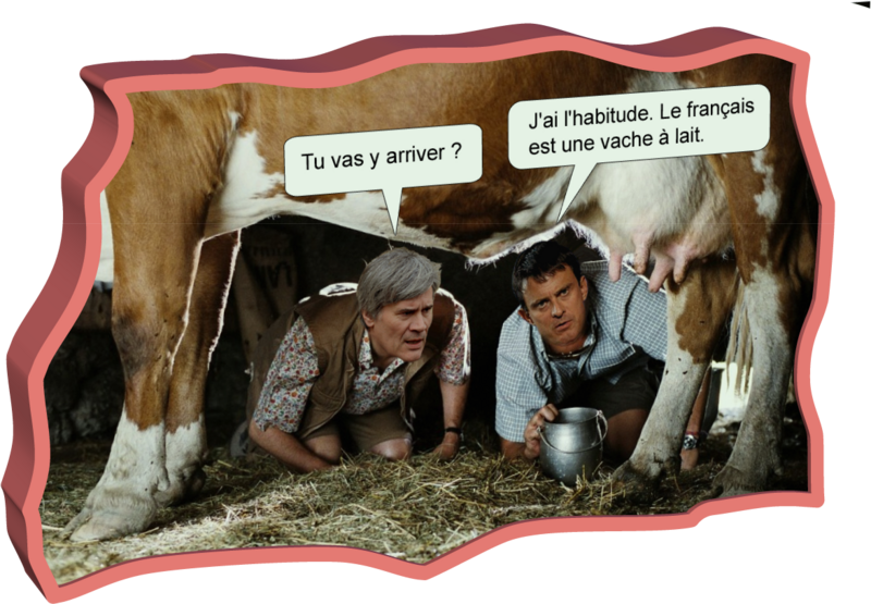 Nous les vaches à lait (Humour)