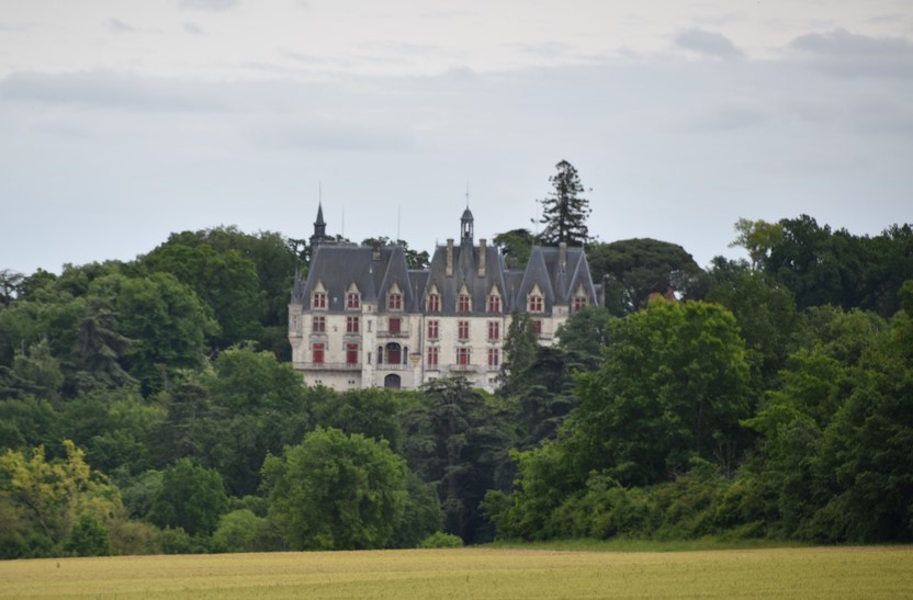 Le PIN Château Saint ROCH - la D.R.E.B.