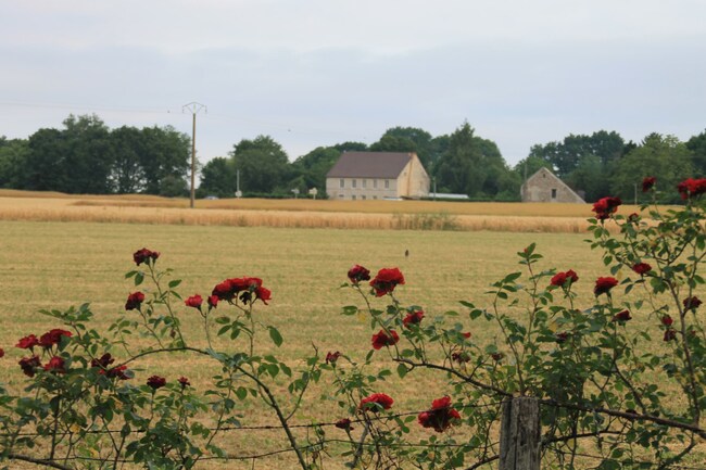 Ma campagne au fil des mois