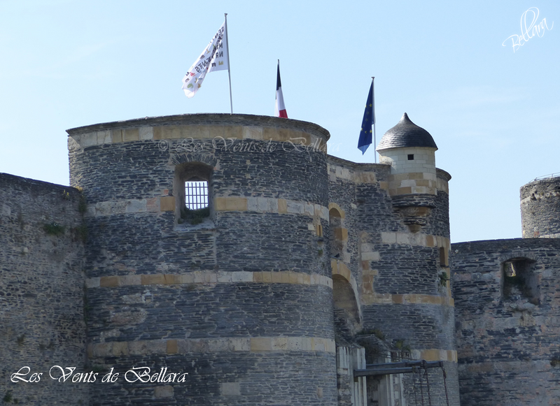 Angers - Le château d'Angers - Balade sur les hauteurs - 6