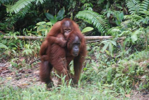 Lundi 15 juillet Good day