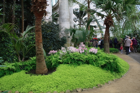 Les serres royales de Laeken. Belgique