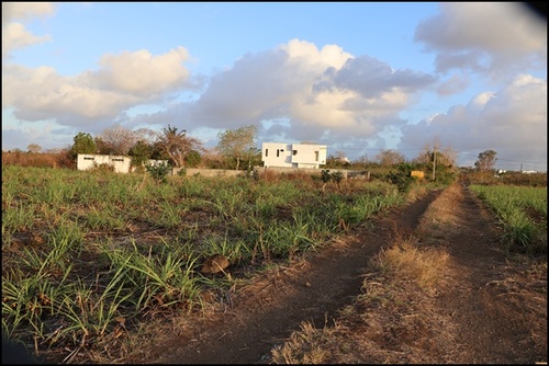 île Maurice 2024