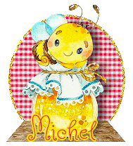 1166 - Abeille et pot de miel - réception 04