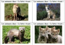 Jeux de français Cycle 2