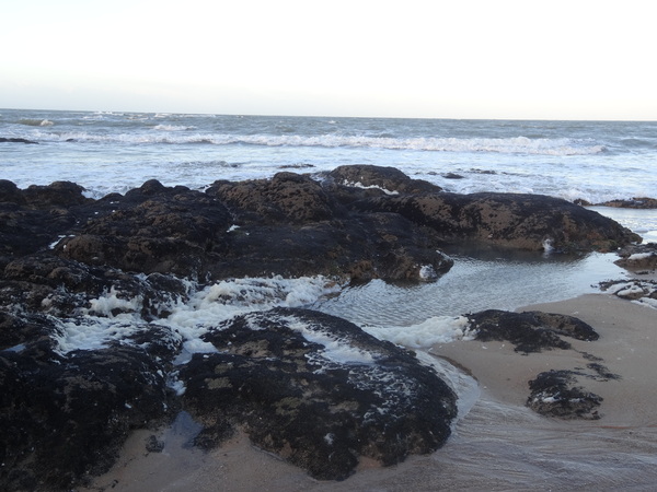 La plage après la tempete du 12 janvier 2017