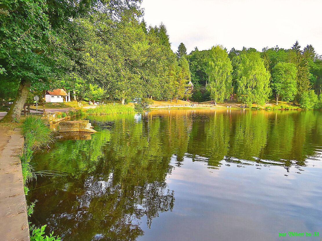 le lac de Bitche en Moselle