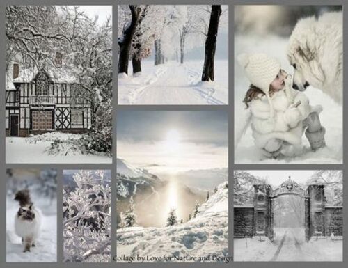 Collages hiver