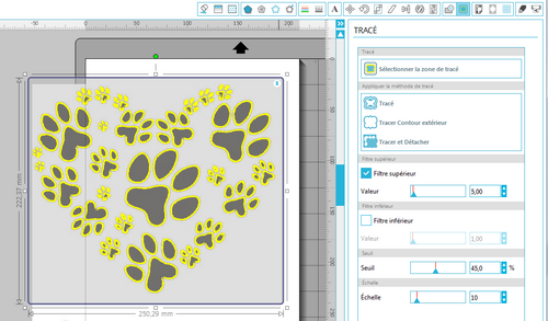 Mon tuto (version rapide) vectorisation avec Designer V3 