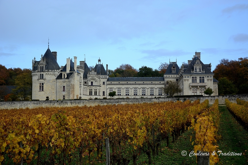 Chateau de Brézé