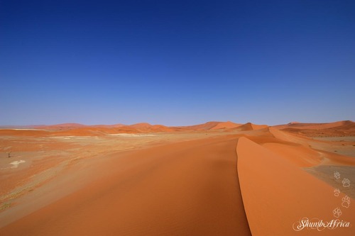 Sosussvlei & Sesriem Canyon