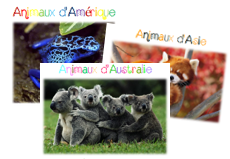 Jeux de français Cycle 2