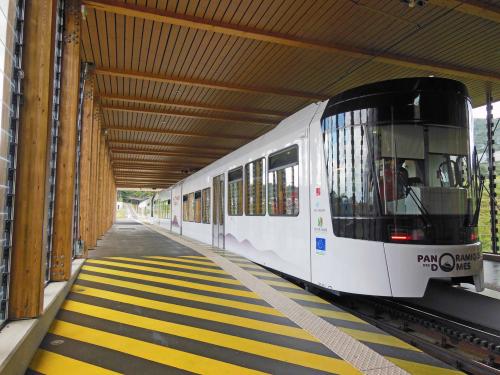 "PANORAMIQUE des DÖMES", le train à crémaillère...