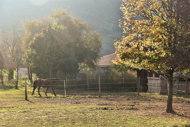 Bienvenue en Automne !!