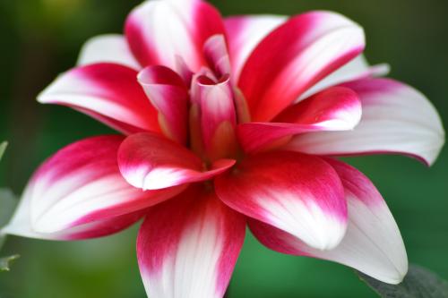 Le cartoscope du mercredi 26 avril 2017