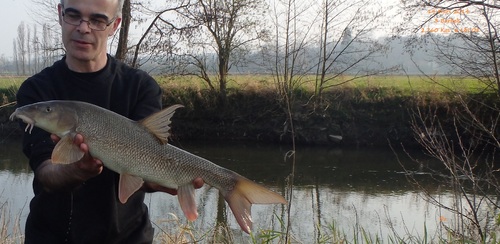 2014 l'année du Barbel 