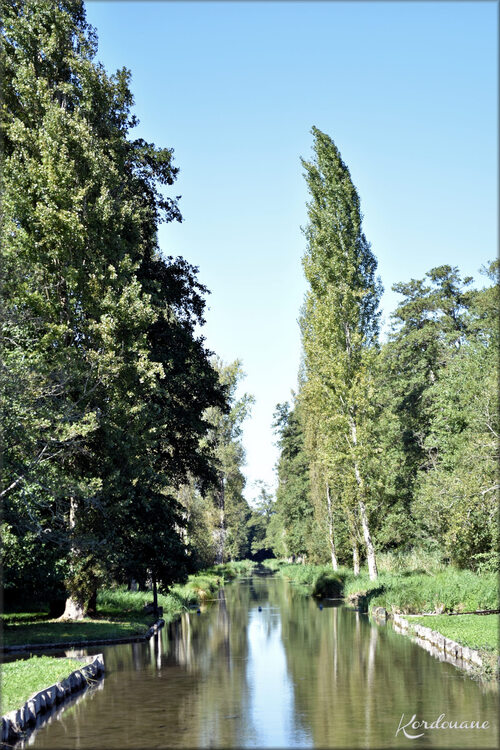 Photos château de la Roche-Courbon - les bassins