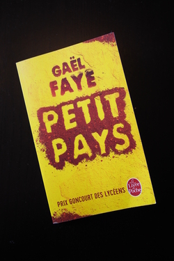 Petit pays - Gaël FAYE